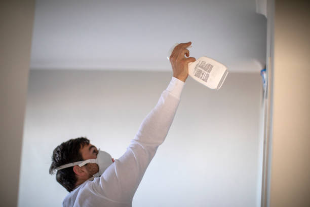 Best Affordable Mold Removal  in Elmwood Park, NJ