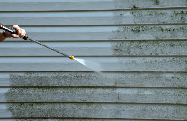 Best Certified Mold Removal  in Elmwood Park, NJ