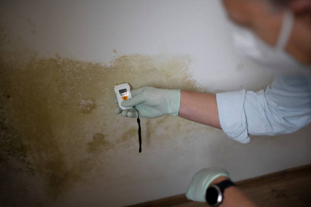 Water Damage Restoration in Elmwood Park, NJ