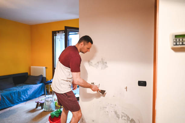 Attic Mold Removal in Elmwood Park, NJ